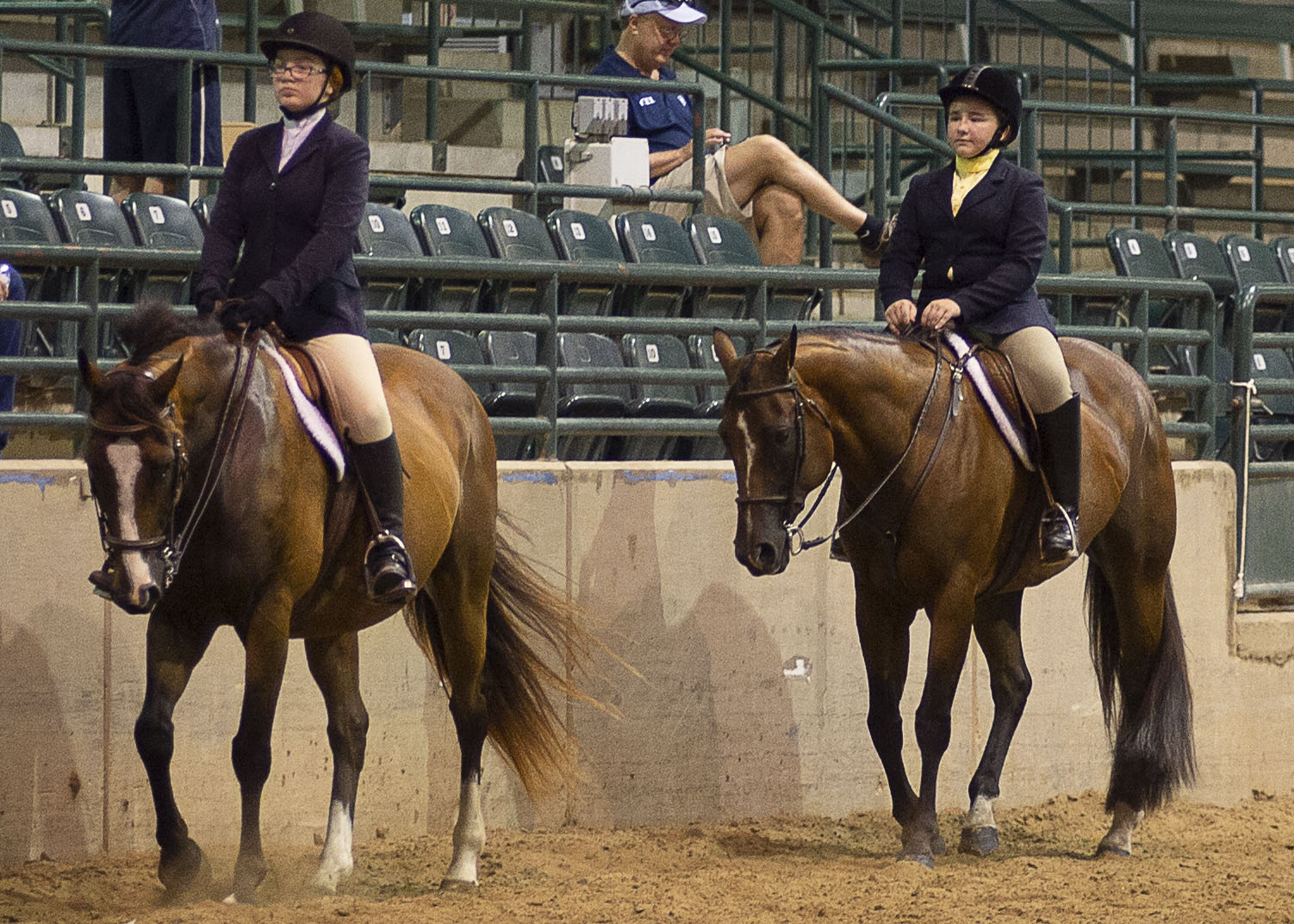 4-H, FFA State Horse Show results released 